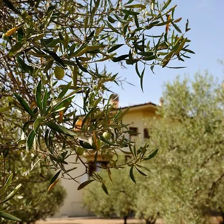La Casa Degli Ulivi 度假居