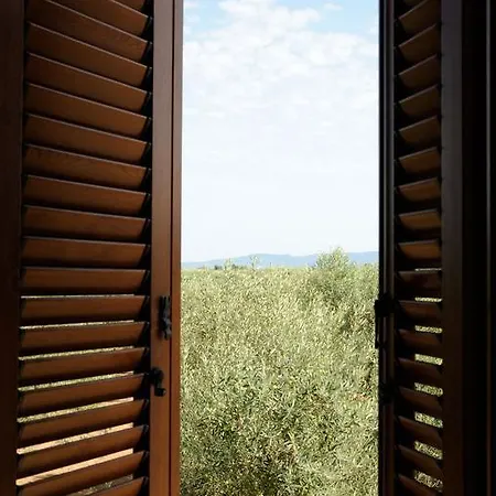 Σπίτι διακοπών La Casa Degli Ulivi