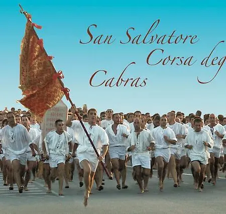 La Casa Degli Ulivi * Càbras