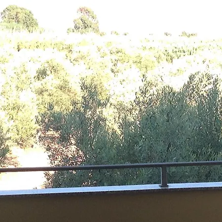 La Casa Degli Ulivi *